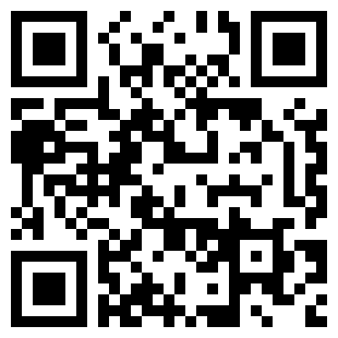 扫码下载车300二手车