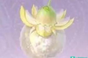 无限暖暖日光果在哪里找